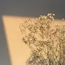 谷 弥来のプロフィール画像