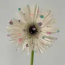 park myunaのプロフィール画像