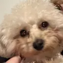 beckylash 田中のプロフィール画像