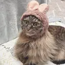 半場 美咲のプロフィール画像