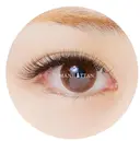 MANHATTAN 福井エリアのプロフィール画像