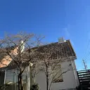 松田 佳純のプロフィール画像