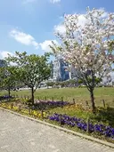 金城 彩のプロフィール画像