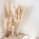 Ray. Maayaのプロフィール画像