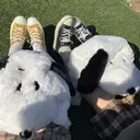 ha ruのプロフィール画像