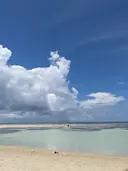 松浦 理恵のプロフィール画像