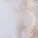 笹井 愛唯のプロフィール画像