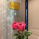 ロトスレイメイ Relaxationのプロフィール画像