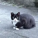 横井 千聖のプロフィール画像