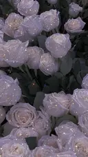 MR じゅりのプロフィール画像