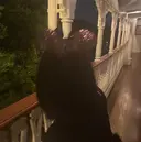 well eye🪞 yumiのプロフィール画像