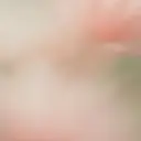 hale airiのプロフィール画像