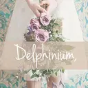 岡本 友恵のプロフィール画像