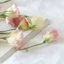 Belle soinのプロフィール画像