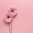 ROPE nail ロペネイルのプロフィール画像