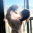 ENサロン けいのプロフィール画像