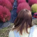 🌺 チヒロのプロフィール画像