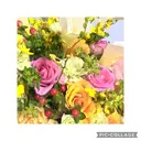 suzuki izumiのプロフィール画像