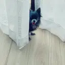 Lily's フルカワのプロフィール画像