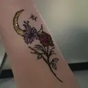 ナニカワ シュカのプロフィール画像