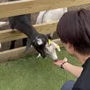 飯田 雷晟のプロフィール画像