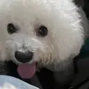 大竹 胡杏のプロフィール画像