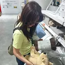 井上 詩央のプロフィール画像