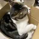 赤木 新吾のプロフィール画像