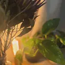 Atelier michiのプロフィール画像