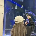 coco ⟡꙳のプロフィール画像