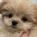 etora eye 渋谷🤍のプロフィール画像