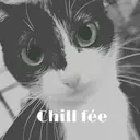 和歌浦 ちるふぇのプロフィール画像