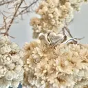 cojicoji 朝日のプロフィール画像