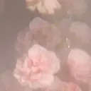 平塚 梨心のプロフィール画像