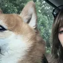 久保 ことねのプロフィール画像