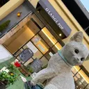 🦋山内凪沙🦋 🦄サラサラ艶髪🦄のプロフィール画像