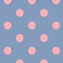 布目 わこのプロフィール画像