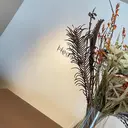 Heale Minaのプロフィール画像