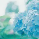 Naru. o0のプロフィール画像