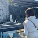 ベルフルール東 yamada🐶のプロフィール画像