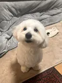 藤村 結月のプロフィール画像