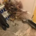 メリーラッシュ青森店 長谷川のプロフィール画像