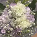 増山 久優子のプロフィール画像