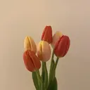 中村 亜衣利のプロフィール画像