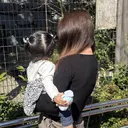 LORAN Lim 工藤のプロフィール画像