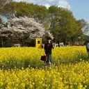 藤野 海翔のプロフィール画像