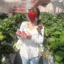 新井 真央のプロフィール画像