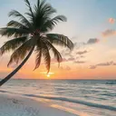 Ma belle mのプロフィール画像