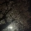 加地 然のプロフィール画像