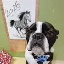 SHMIZU AKANEのプロフィール画像